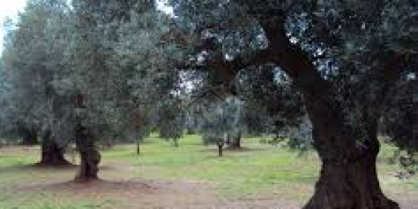 Bahria Town - Precinct 27 - 125 Square Yards Residential Plot File Available For Sale In Karachi