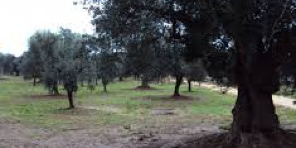 Government Teachers Society - 1,000 Sq. Yd Residential Plot For Sale  IN Karachi