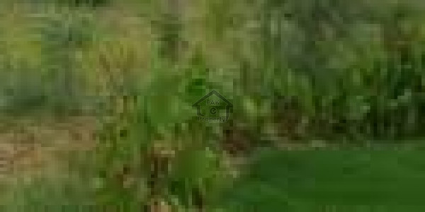 Ugoke Road - 10 Marla Corner Plot Available For Sale IN Sialkot