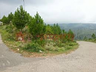 DC Colony - 5 Marla Residential Plot Is Available For Sale IN Gujranwala