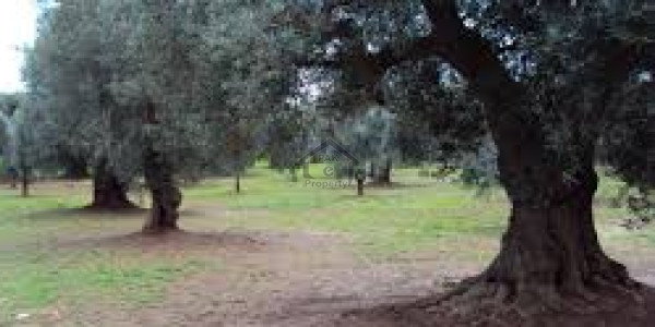 Gwadar Open Lands - 8 Marla Commercial Plot For Sale In Gwadar