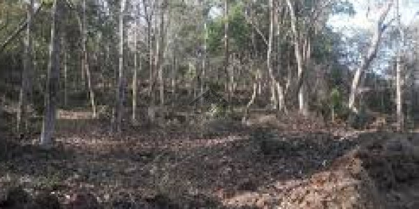 Gwadar Central Housing Scheme - 4 Marla Commercial Plot For Sale In Gwadar