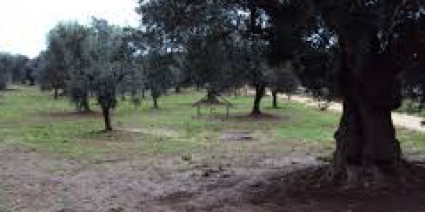 Gwadar Central Housing Scheme - 10 Marla Residential Plot For Sale In Gwadar