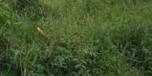 Airport Road - 150 Sq Yrd Plot For Sale At Hamdard Society IN Sukkur