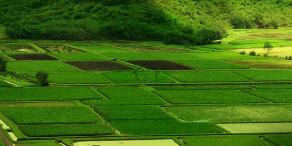 Citi Housing Society, 5 Marla Plot For Sale