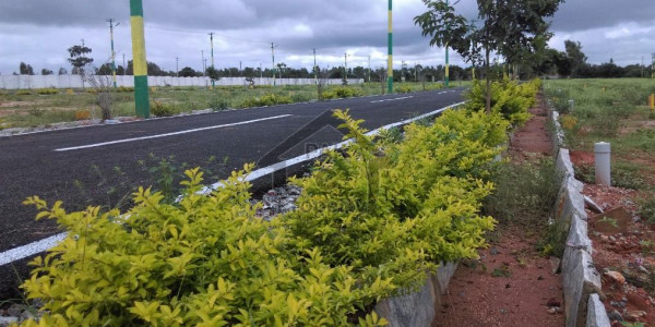 33 Acre Land Near Abne Seena Hospital On Main Road For Colonies For Sale Multan