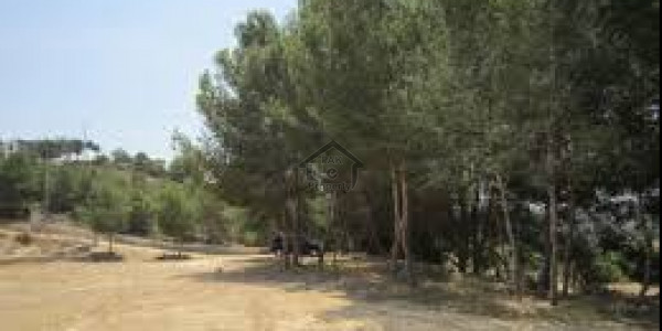 Deens Paradise - 10 Marla-Plot Available For Sale