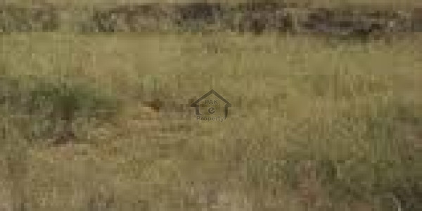 Madina Gardens - Plot Is Available For Sale Near Punjab College Samundari IN Faisalabad