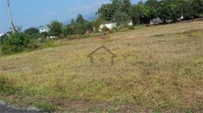 College Road - Plot For Sale In Defence Paradise College Road Samundari IN Faisalabad