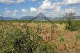 Residential Plot Is Available For Sale