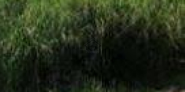 Mandra - Agriculture land Is Available For Sale IN Rawalpindi