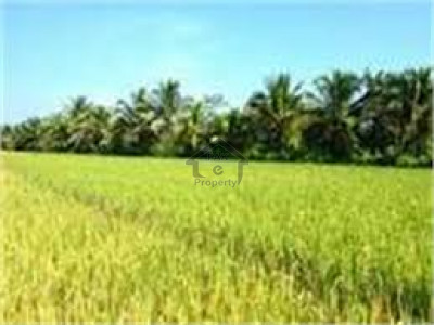 Talagang Road - Land Is Available For Sale IN Chakwal