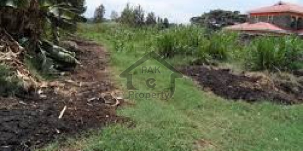 Murree-Views Of Your Possible Next Bungalow and Businesses near MNA/Diplomat Homes