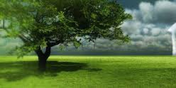 Bani Gala, 5 Kanal-Plot Is Available For Sale In Pepsi Road