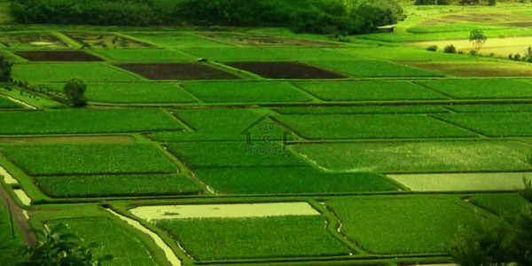 Faisal Town - 8 Marla -Plot Is Available For Sale