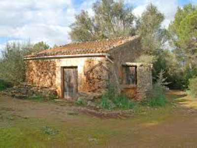 I-11/1--4 Marla  Residential Plot For Sale