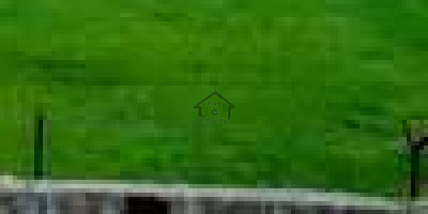 Government Teacher Housing Society, Scheme 33 - 500 Square Yards Plot In Teachers 16 A IN Karachi