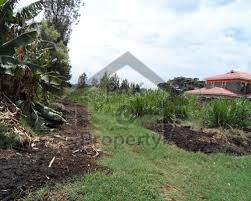 Residential Plot Is Available For Sale
