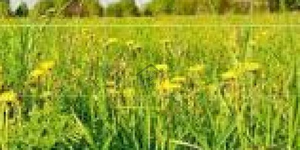 Jati Umra Road - 5.5 Acres Land For Sale Jati Umrah Road Near Shareef Medical City Lahore