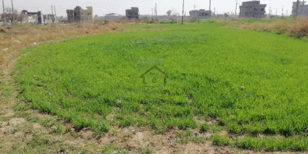 Ministry Of Commerce E19 - 1 Kanal -Residential Plot For Sale