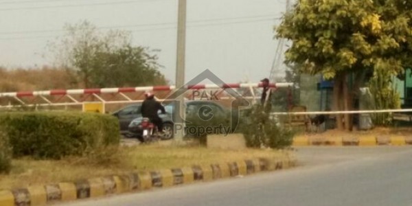 F-10 666,sqyd Beautiful neat and clean Ground portion available for Rent.