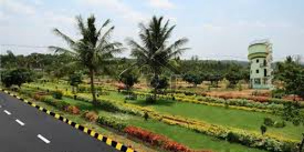 Agricultural Land Is Available For Sale