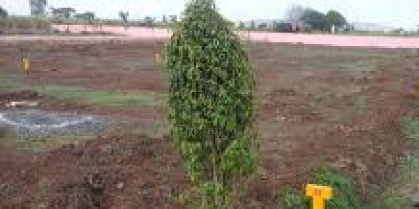 Agricultural Land Is Available For Sale