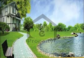 Agricultural Land Is Available For Sale