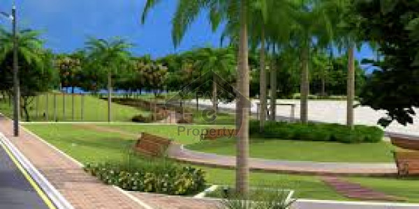 Agricultural Land Is Available For Sale