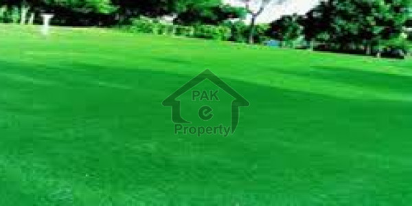 Agricultural Land Is Available For Sale