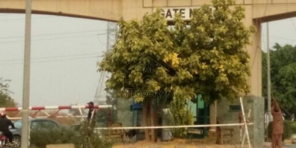 F-11/1 500,sqyd Beautiful fully tiles flooring 3,bed room Ground portion available for Rent