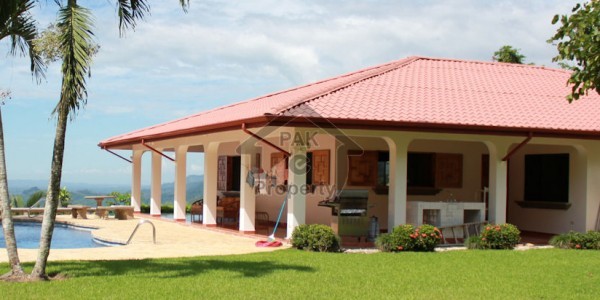 F-10 555,sayd fully marble flooring single story house available for Rent.