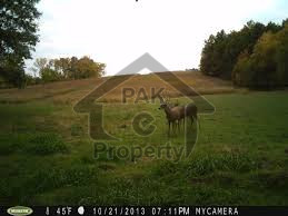 Residential Plot For Sale