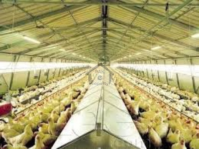Company Bagh-Working Poultry Farm For Sale In Murree