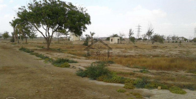 Wapda Town,1 Kanal Plot For Sale