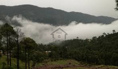 New Murree, 3 Kanal Plot For Sale