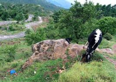 New Murree,10 Marla Plot For Sale