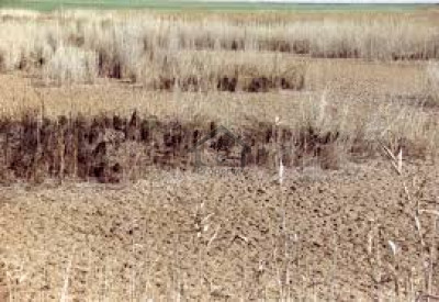 Adiala Road, 400 Kanal Agri Land For Sale.