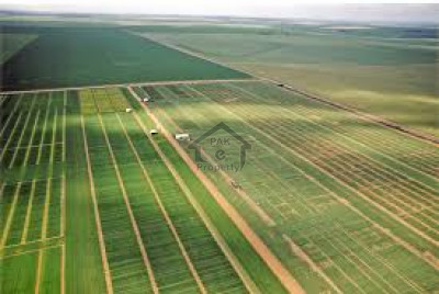 344 Kanal-Agricultural Land For Sale At Bahawalnagar