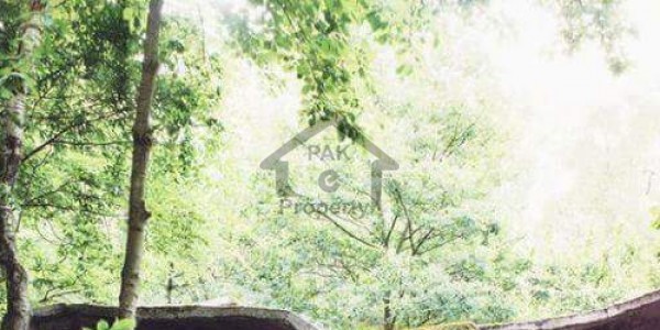 5 Kanal Corner Farm House Plot For Sale