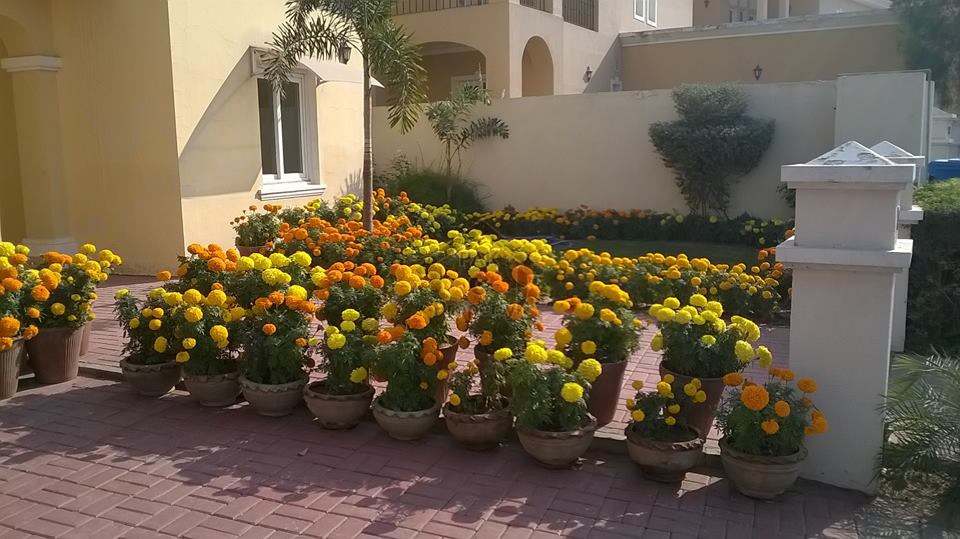 House for Rent in Beautiful Canyon Views, Islamabad.