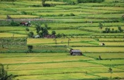 Prime City, - 11 Marla -Plot Is Available For Sale .