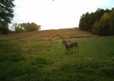 E-11/2 - 10.9 Marla - Plot For Sale