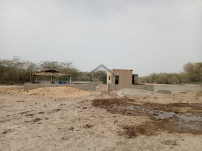 Land for cattle farm