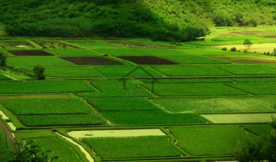 Bahria Town Phase 3,- 1 Kanal-  plot is Available For Sale