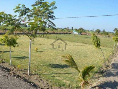 Punjab University Society Phase 2, - 7 Marla - Plot for sale ..