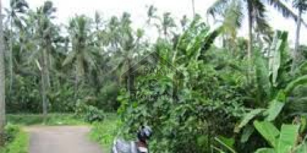 Residential Plot Is Available For Sale