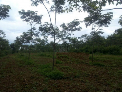 DHA 9 Town - Block A, -5 Marla Plot Is Available For Sale