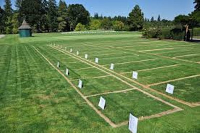 NHA Housing Society, -7 Marla - Plot File Is Available For Sale