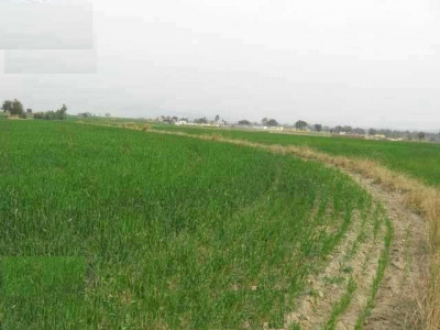 Bahria Town Phase 7,- 1 Kanal - Corner Plot for sale.